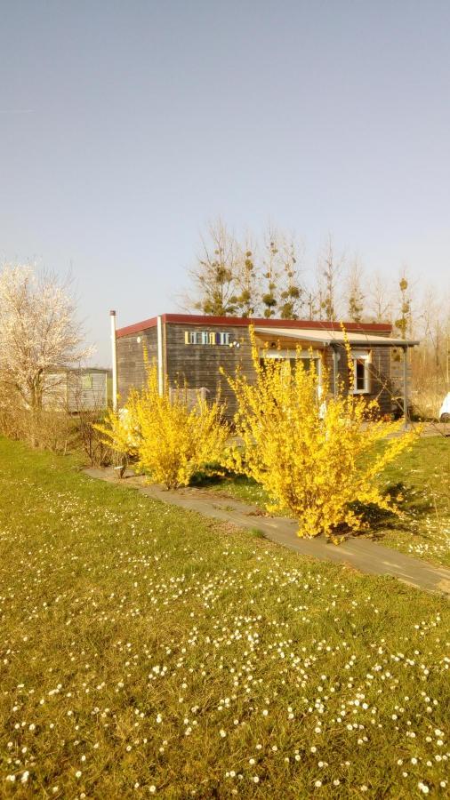 La Halte Villa Villeret Exterior photo