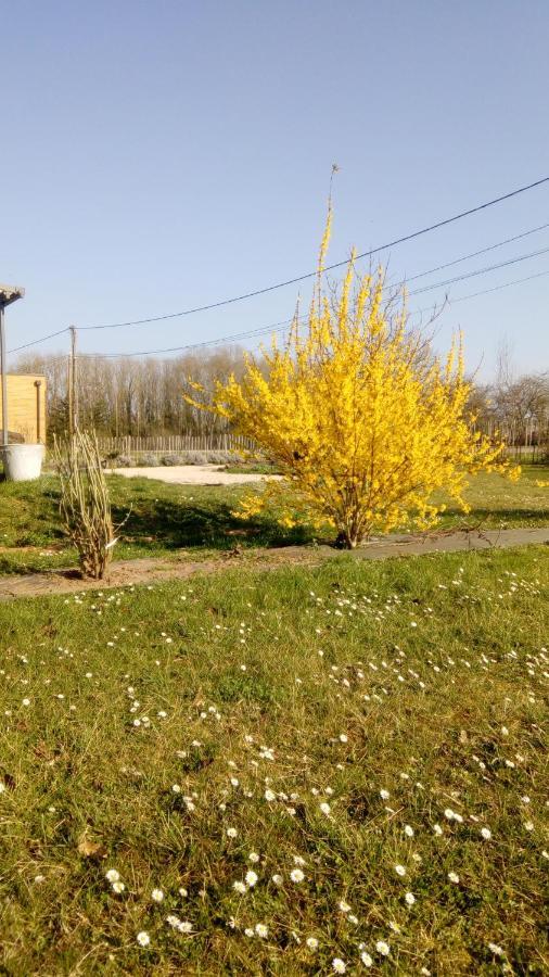 La Halte Villa Villeret Exterior photo